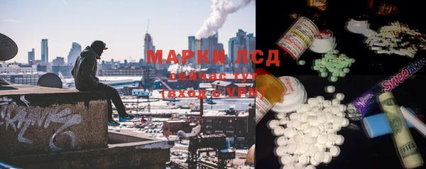 ГАЛЛЮЦИНОГЕННЫЕ ГРИБЫ Магас