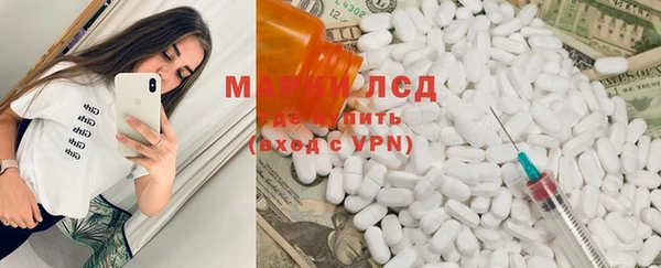 ГАЛЛЮЦИНОГЕННЫЕ ГРИБЫ Магас