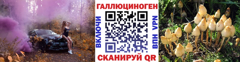Галлюциногенные грибы Magic Shrooms  Купить закладки  Семикаракорск 